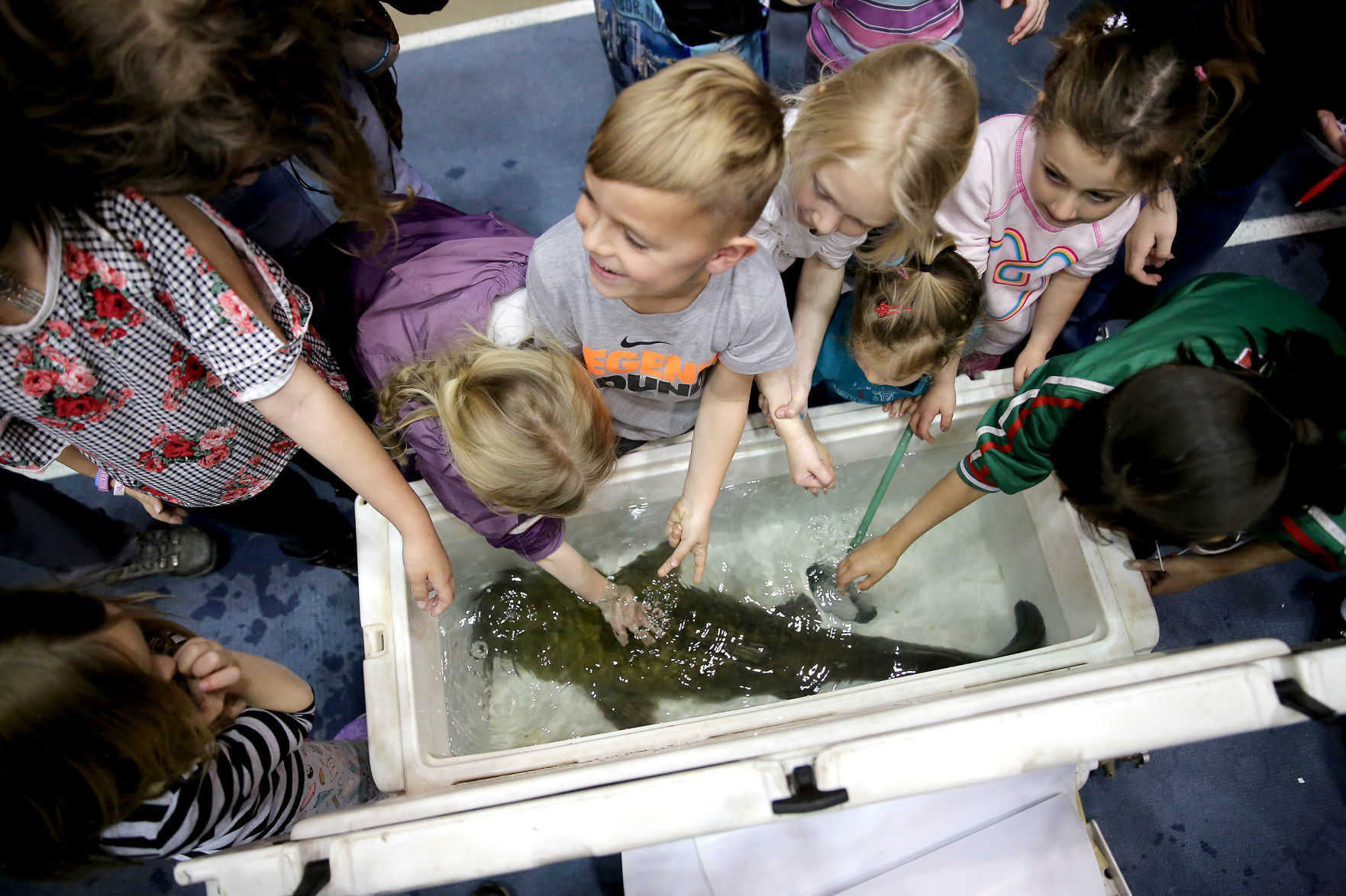 PET THE CATFISH